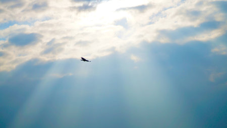 Sun rays through blue skies
