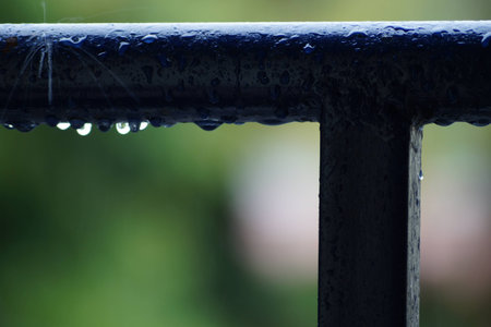 Rainy dropsの写真素材