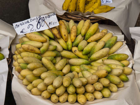 view basket full of fruit - maracuya のeditorial素材