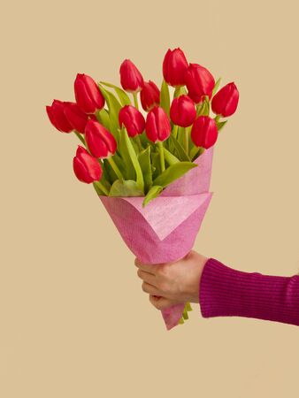 bouquet of tulipsの写真素材