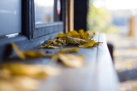 Autumn yellow leaves on the blurred background of the windowsill. Dry leaves on a brown wooden windowsill close-up. Autumn background.の写真素材