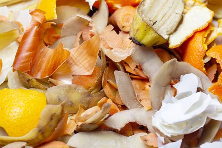 Waste food close-up carrot, banana, potato, orange, onion, eggshell. Waste for recycling. Responsible disposal of household food wastage in an environnmentally friendly way by recycling.の写真素材