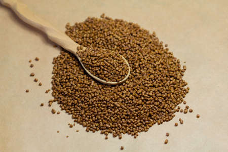 Buckwheat tea in a wooden spoon on a brown background. Buckwheat tea close-up macro photography....
