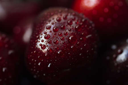 Juicy ripe cherry close-up. Water drops on cherries macro photo. Beautiful cherry macro photography background.の写真素材