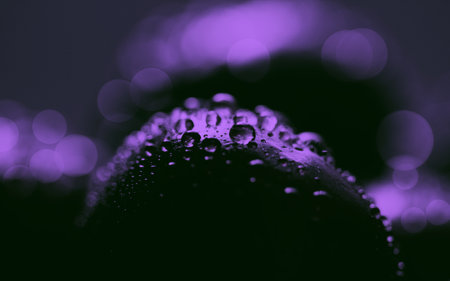Space background. Creative abstraction with cherry purple tinting. Water drops on juicy ripe cherries macro photo. The concept of a drop of water on the surface of a berry, similar to the surface of a planet.の写真素材