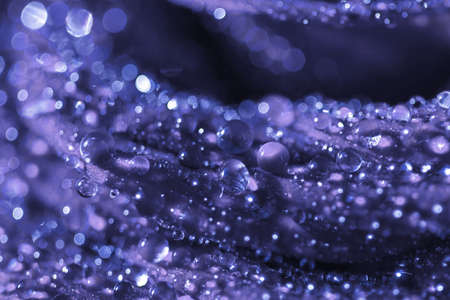 Trendy Color of the year 2022 Very Peri. Beautiful abstract background macro drops of lavender...