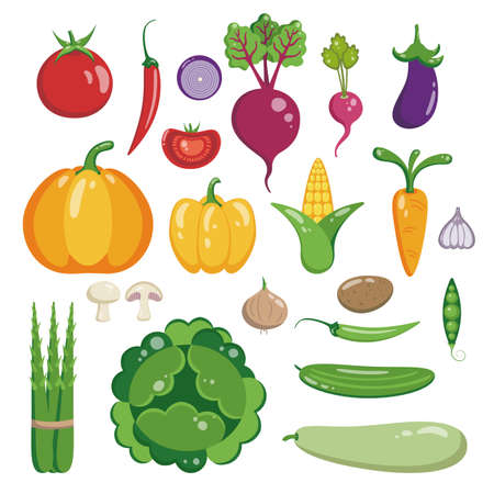 Vegetable set vector flat illustration. healthy eating. Pumpkin, broccoli, zucchini, asparagus, eggplant and other vegetables on a white background.のイラスト素材