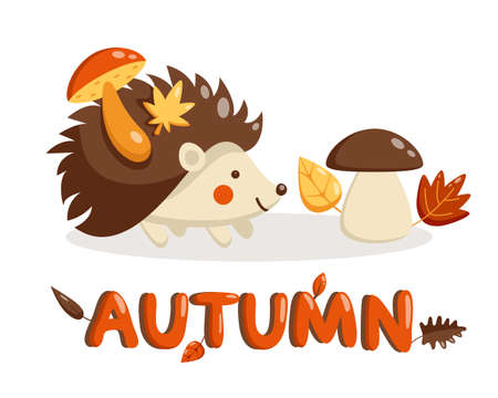 Vector flat illustration of hedgehog and mushroom in autumn. Cute baby hedgehog character.のイラスト素材