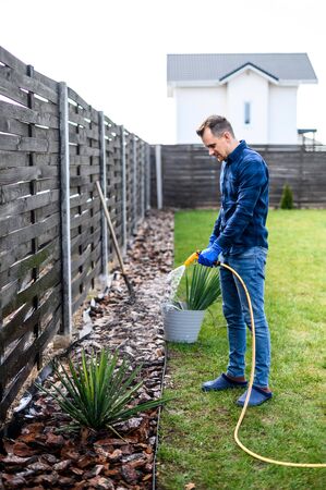 Attractive guy in checked shirt is caring for plants in the backyard, she is with a hose watering a decorative bush. Spring garden work, gardening in private house. Concept of gardening at homeの写真素材