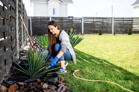 A woman is planting a bush in the yard in the open air. She crouched on the grass near the plant with a gardening trowel. The concept of spring garden work, a hobbyの写真素材