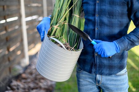The concept of spring gardening, a hobby. Hands of a gardener with a gardening trowel and basket full of plants closeup, a face is not visible. Planting a bush in the garden.の写真素材