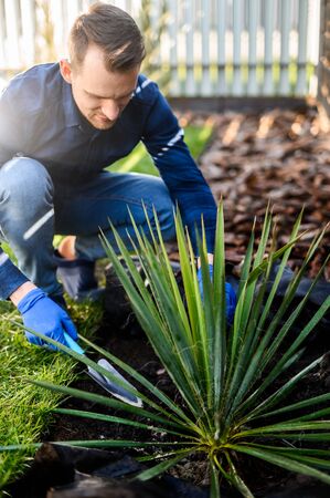 The guy plants a bush in the yard in the open air. He crouched on a grass near a plant with a garden trowel. The concept of spring gardening, hobbiesの写真素材