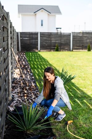 Gardening at home, on backyard. A young woman in a rubber gloves on his hands crouched on a green lawn near plants with a garden trowel in hand and smiles. She plants bushesの写真素材