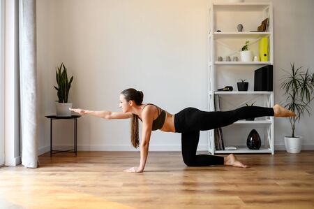Sunbirds asana, pose in yoga. Young positive woman is practicing yoga at home. Stretch training at homeの写真素材