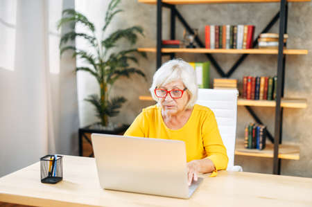 Confident elderly business woman using laptop to work in modern office, answering emailの写真素材