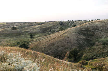 Hilly countryside at sunset in summer. Picturesque nature of countrysideの写真素材