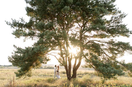 Couple of future parents. Pregnant woman and her husband enjoying moment at sunny day in the park near picturesque huge pine treeの写真素材