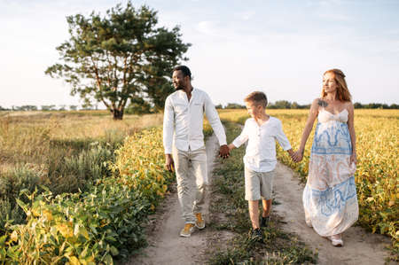 Multiracial family on the meadow in the summer day. A pregnant wife, a black husband and school age son walking holding handsの写真素材