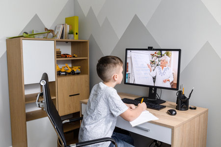 Schoolkid watching online video classes on the PC