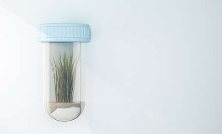 flask with grass with copy space. 3d renderingの写真素材