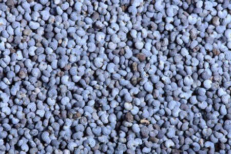 Poppy seeds close-up background textureの写真素材