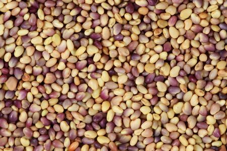Colorful seeds mixture close-up background texture