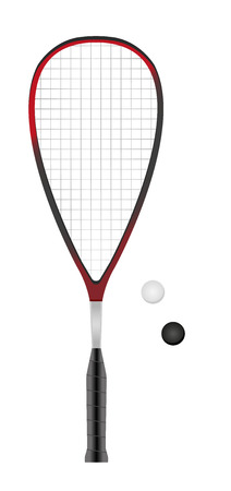 Squash or racketball racket and two balls - sport equipmentのイラスト素材