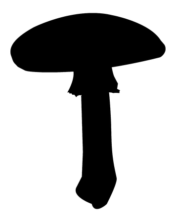 Vector black silhouette of fly agaric mushroom isolated on white background. poisonous fungus.のイラスト素材