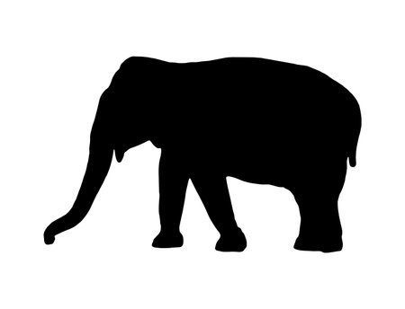 Vector black simple silhouette of a big strong elephant with a trunk isolated on a white background.のイラスト素材