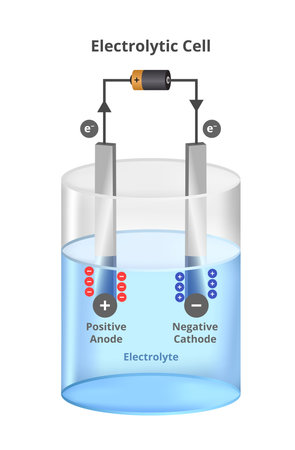 Vector scientific illustration of electrolysis process in water with an electric battery. Electrolytic cell. Negative and positive cathode and anode, anions, and cations isolated on white background.