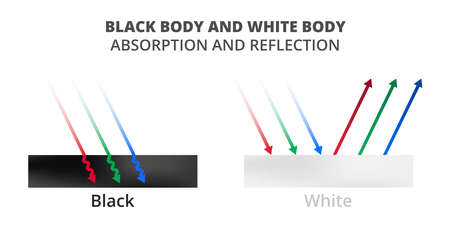 Vector scientific illustration of light absorption and light reflection isolated on white. Black and white surfaces, black body, blackbody and white body, whitebody. Physics color theory explanation.のイラスト素材