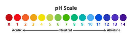 Vector chemical illustration of pH scale for a measure of how acidic or basic solution is. Ph scale value test with the range from 0 to 14 isolated on a white background. Acidic, neutral, alkaline.のイラスト素材