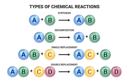 Vector scientific illustration of four basic types of chemical reactions isolated on a white background. Synthesis, decomposition, single replacement, and double replacement.のイラスト素材