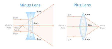 Vector illustration of minus and plus lens isolated on white background. Convex or converging lens, concave or diverging lens. Plus lenses - prisms base to base. Minus lenses - prism apex to apex.のイラスト素材
