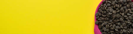 A bowl of dog food on a yellow background. Layout, banner, place for text.