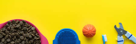 Banner with accessories for caring for the dog on a yellow background. Layout. Flat lay. Space for text.の写真素材
