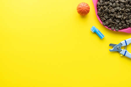 Top view of dog care and feeding accessories. Flat lay. Space for text.の写真素材