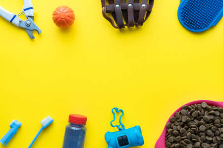 Top view of dog care and feeding accessories. Flat lay. Space for text.の写真素材