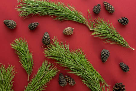 Christmas composition. Christmas decoration white tinsel on a red background. Flat lay, top view, space for textの写真素材