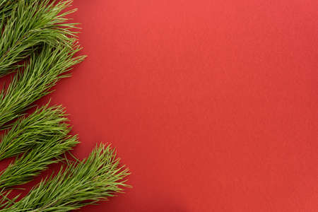 Christmas composition. Fir tree branches on red background. Flat lay, top view, copy spaceの写真素材