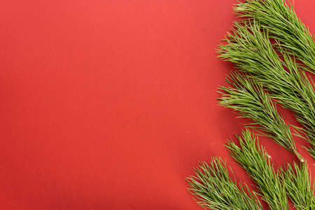 Christmas composition. Fir tree branches on red background. Flat lay, top view, copy spaceの写真素材