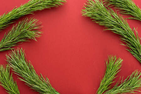 Christmas composition. Fir tree branches on red background. Flat lay, top view, copy spaceの写真素材