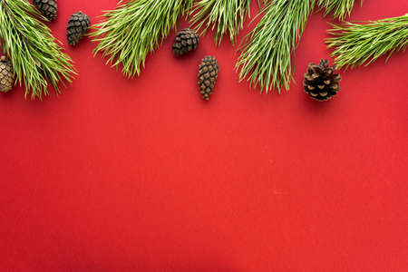 Christmas composition. Fir tree branches on red background. Flat lay, top view, copy spaceの写真素材