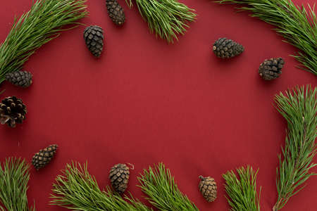 Christmas composition. Fir tree branches on red background. Flat lay, top view, copy spaceの写真素材