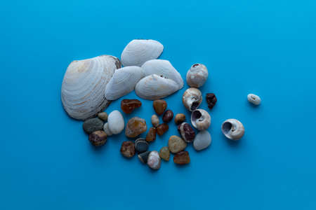 Flat lay composition sea pebbles and seashells on a blue background. space for textの写真素材