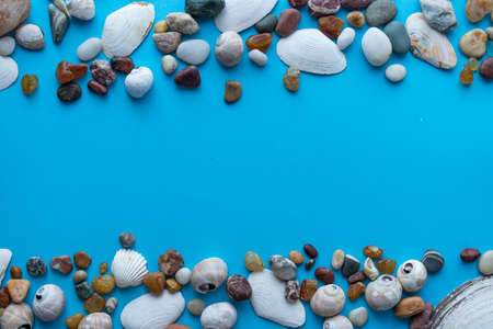 Flat lay composition sea pebbles and seashells on a blue background. space for textの写真素材