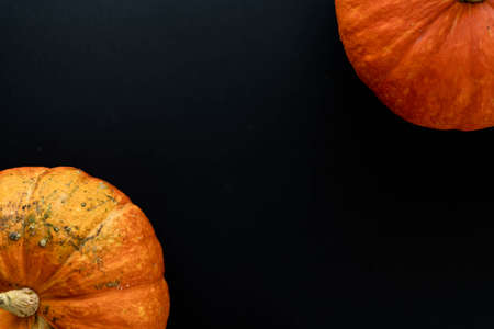 Flat composition of two pumpkins on a black background. Place for textの写真素材