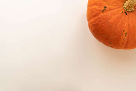 Flat composition of pumpkin on a white background. blank for advertising. place under the textの写真素材