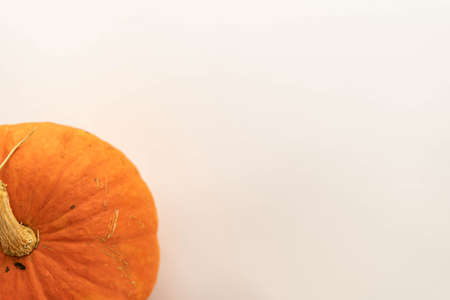Flat composition of pumpkin on a white background. blank for advertising. place under the textの写真素材