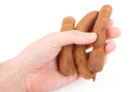 Tamarind の写真素材